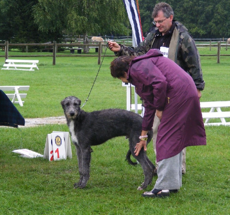 CH. Tpo grand ciel du Triple Bois - Meilleur de tous les Jeunes de la Nationale d'Elevage