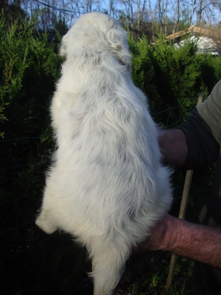 PATXI DU REVE D'ALICE