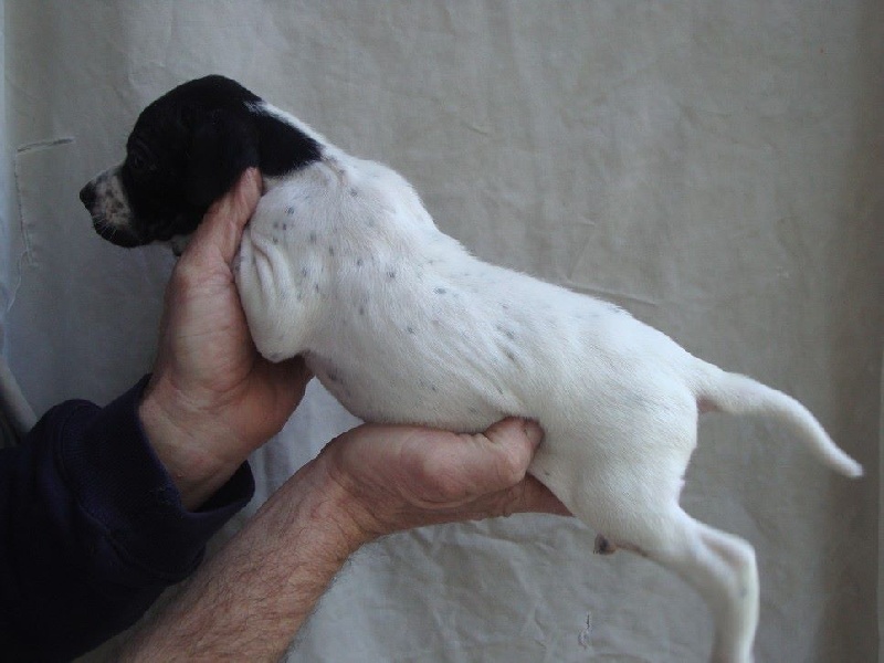 LOULA DU REVE D'ALICE