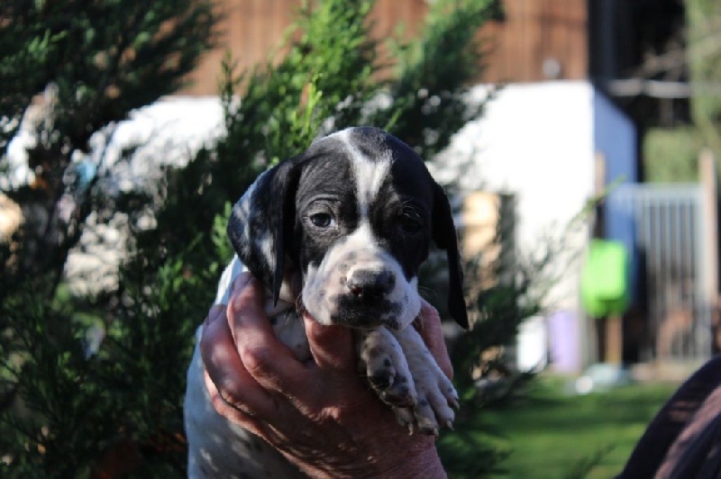 LARGO DU REVE D'ALICE