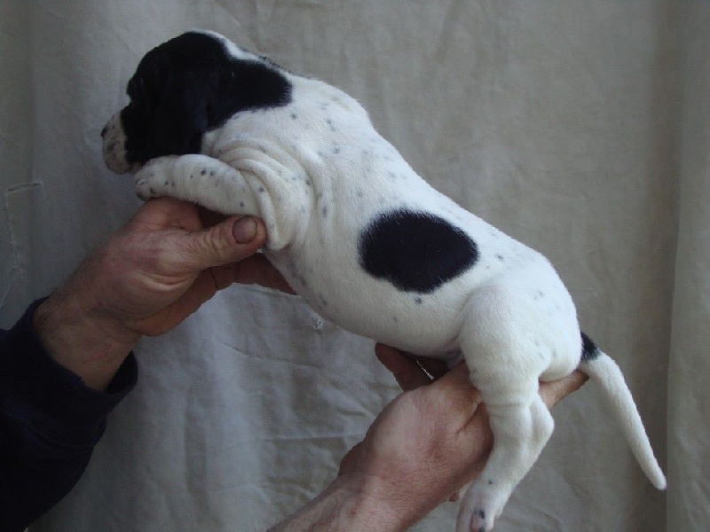 LILOU DU REVE D'ALICE