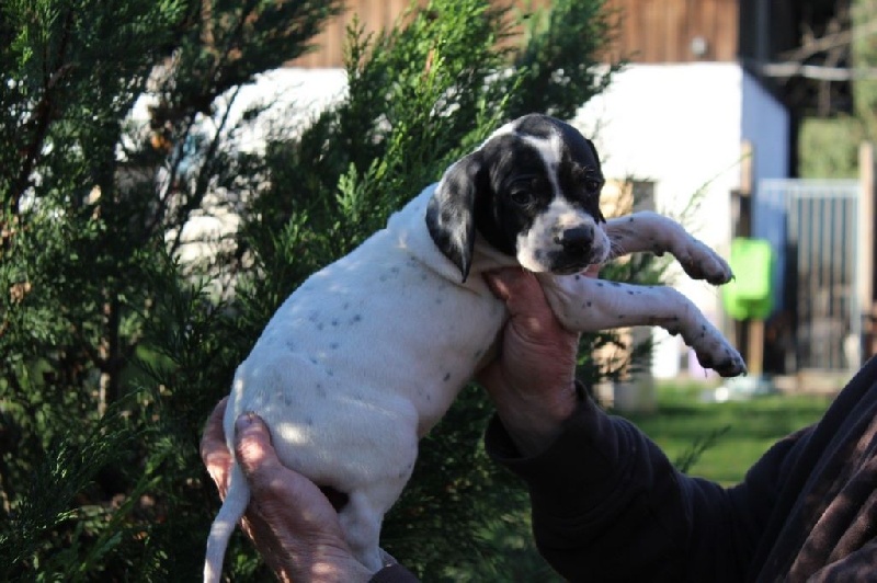 LARGO DU REVE D'ALICE