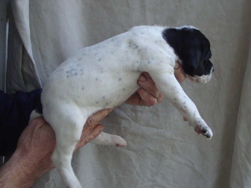 LILOU DU REVE D'ALICE