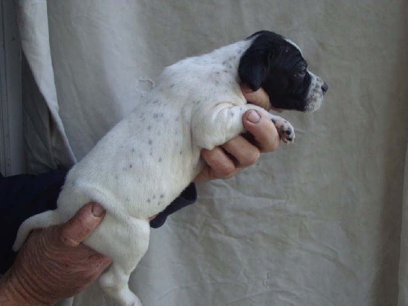 LOULA DU REVE D'ALICE