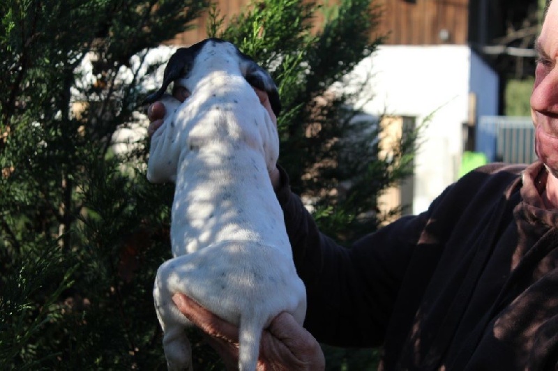 LARGO DU REVE D'ALICE