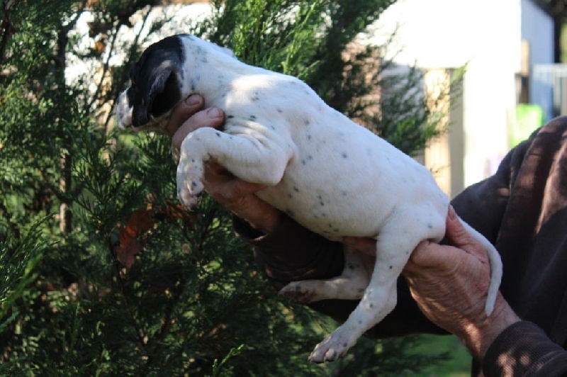 LARGO DU REVE D'ALICE