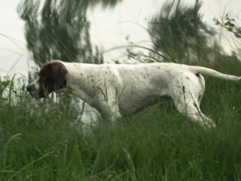 Publication : du pont du riot d'Esnes Auteur : Alain Korkus