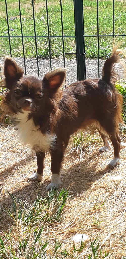 Publication : des Princes de la foret noire