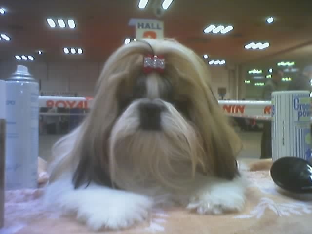 Ukraine du Rivage des Nacres - EXCELLENT 4° TRES PROMETTEUR