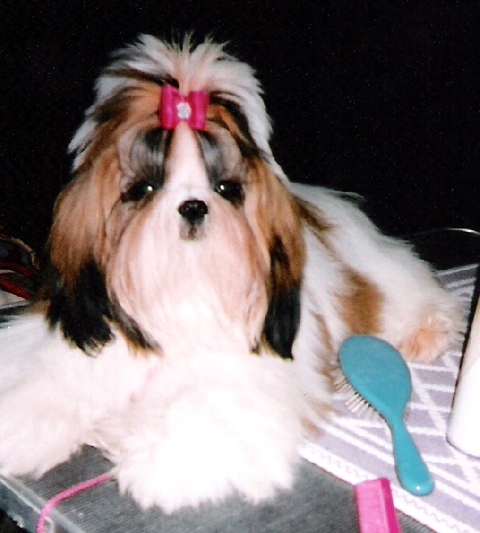 Ukraine du Rivage des Nacres - EXCELLENT 2 EN CLASSE INTERMEDIAIRE