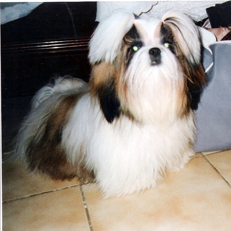 Ukraine du Rivage des Nacres - EXCELLENT 2