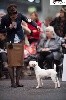 - Della Meilleur Parson Russell Terrier de France