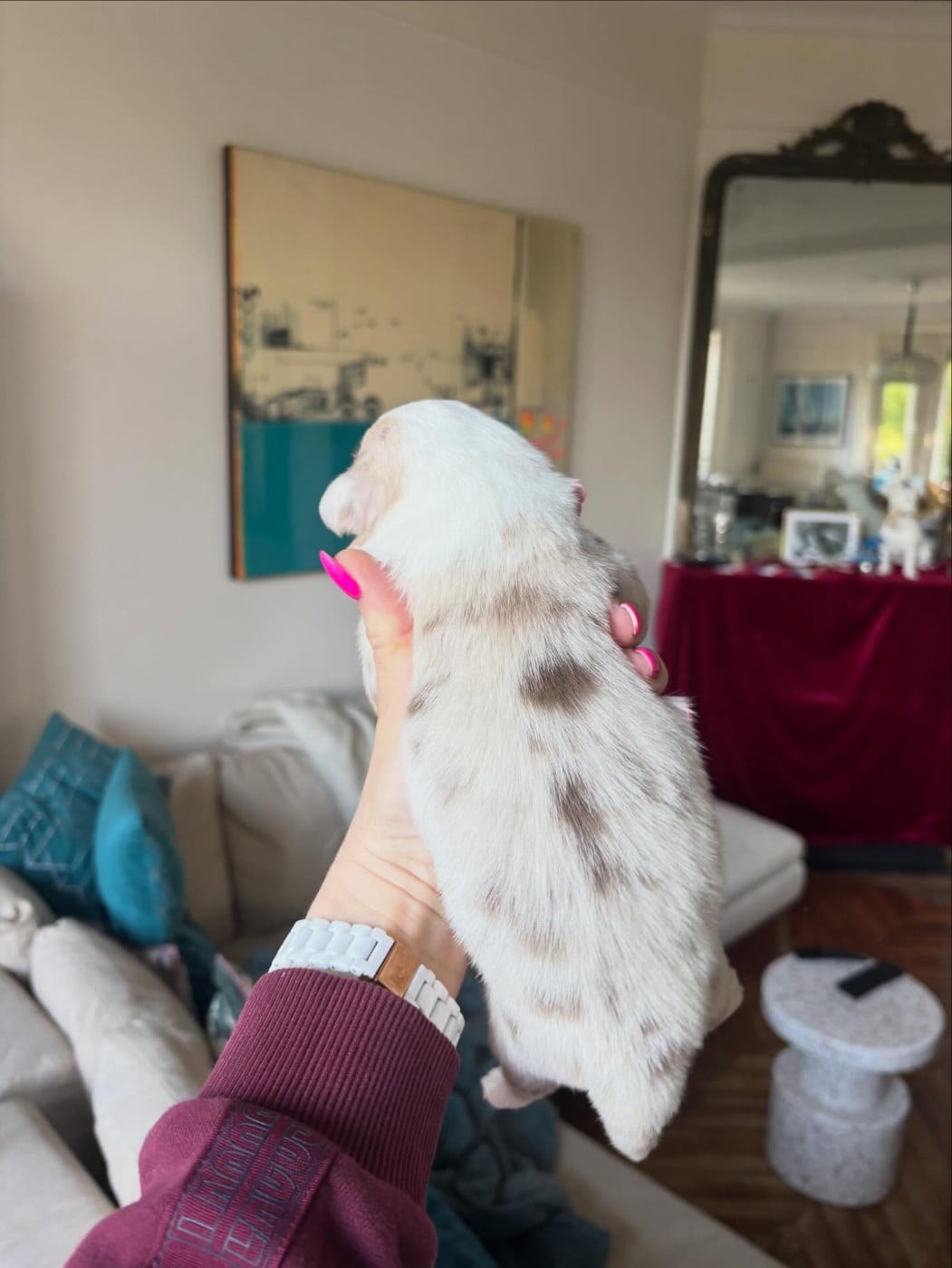 Billie de l Anse Royale