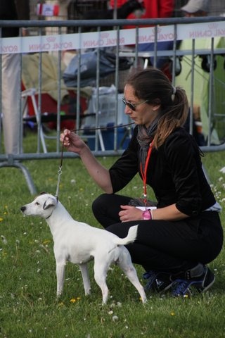 Etoile Des elucines - 1ère Excellent classe ouverte RCACS