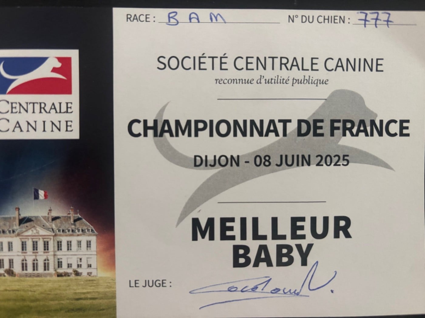 Victoria de l'Anse Royale - Meilleur Baby