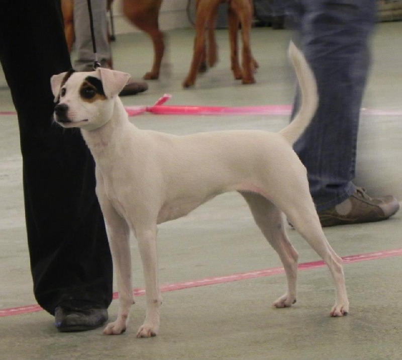 Geena de l'Anse Royale - 3ème Très bon classe jeune