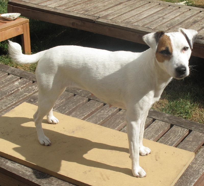 Etoile Des elucines - 2ème TB