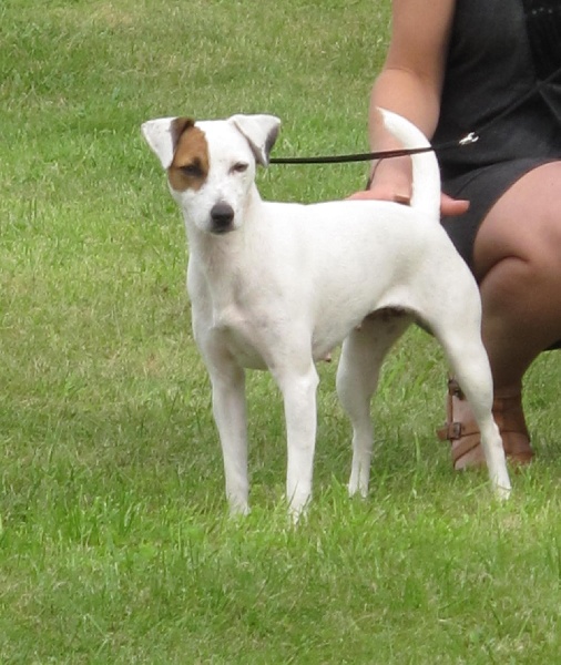 Etoile Des elucines - 3ème Excellent classe ouverte