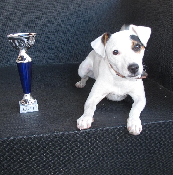 Geena de l'Anse Royale - 1er Excellent classe jeune