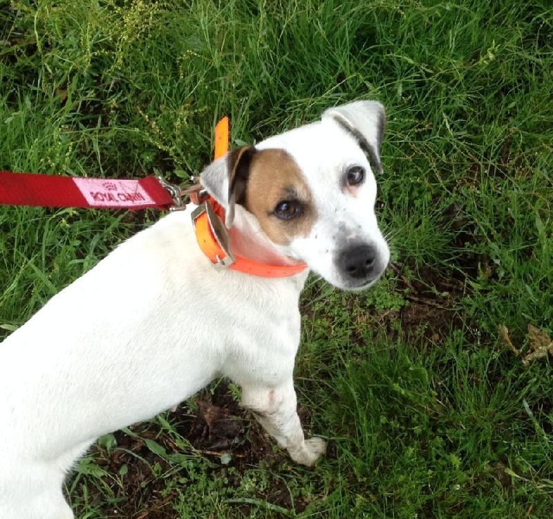 Etoile Des elucines - Excellent 130 points