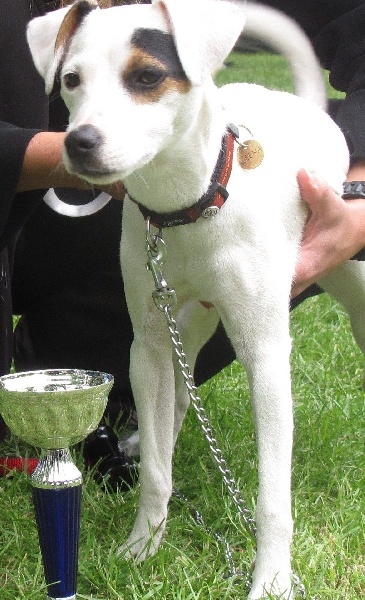 Geena de l'Anse Royale - Très prometteur classe puppy Meilleur Puppy