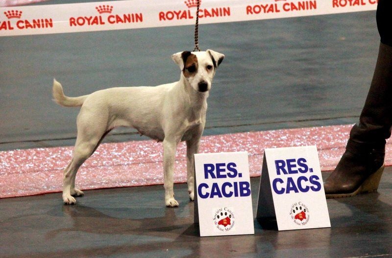 Etoile Des elucines - 2ème Excellent classe travail RCACIB RCACS