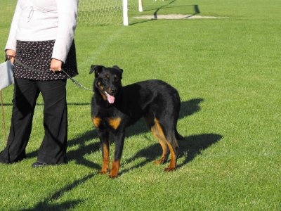 Divine d'una du royaume Dugozana - cotation 4