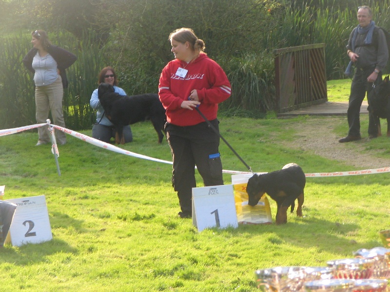 Divine d'una du royaume Dugozana - 1 ere baby femelle