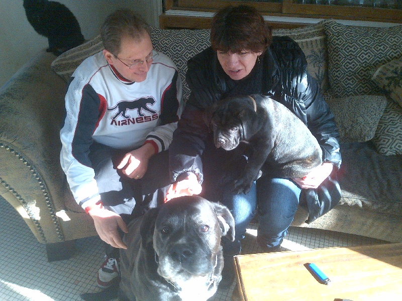 Gama du Temple des Brumes