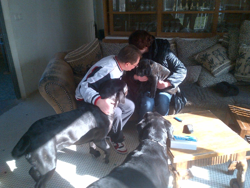 Gama du Temple des Brumes