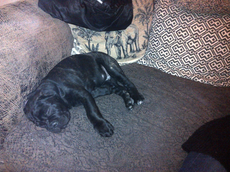 Gama du Temple des Brumes