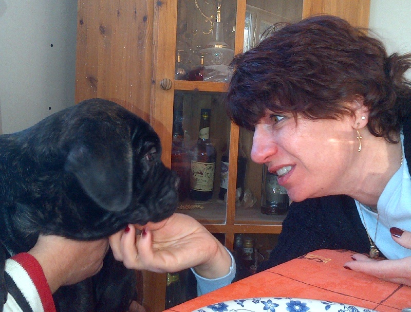 Gama du Temple des Brumes