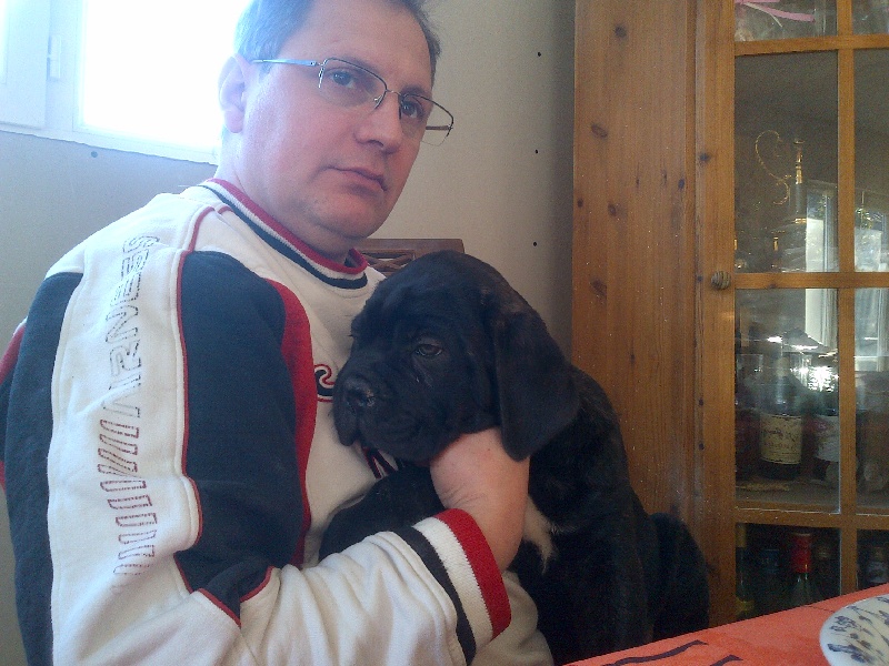 Gama du Temple des Brumes