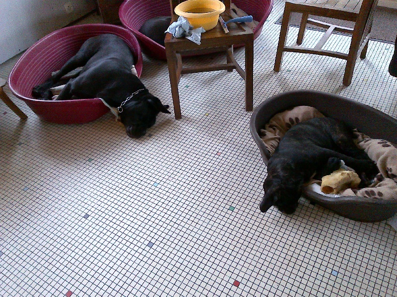 Gama du Temple des Brumes