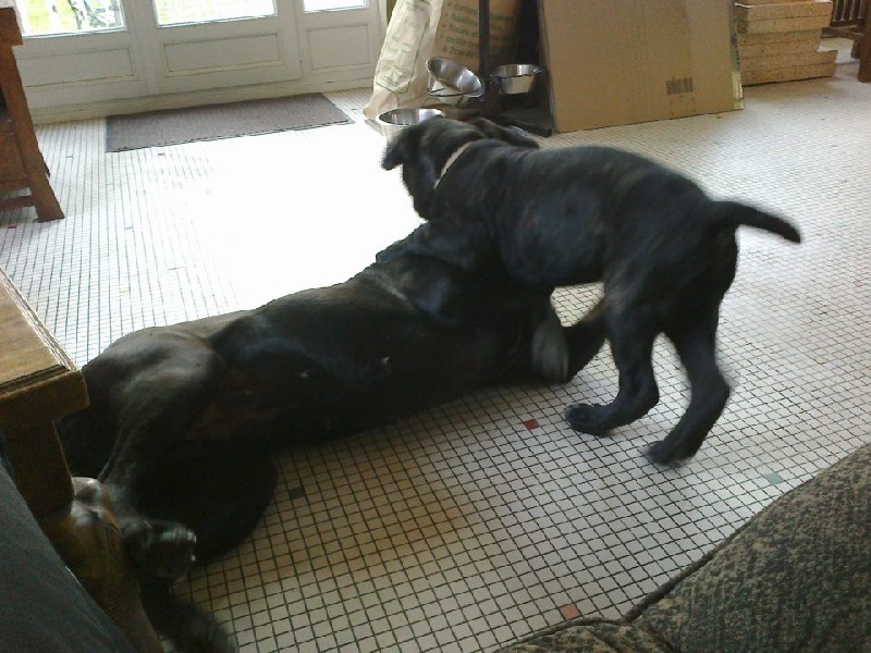 Gama du Temple des Brumes