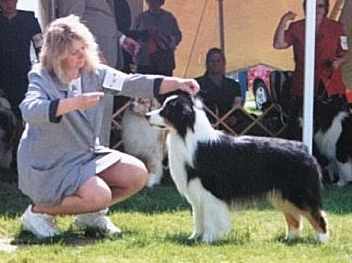 Publication : of the Little Black Moon