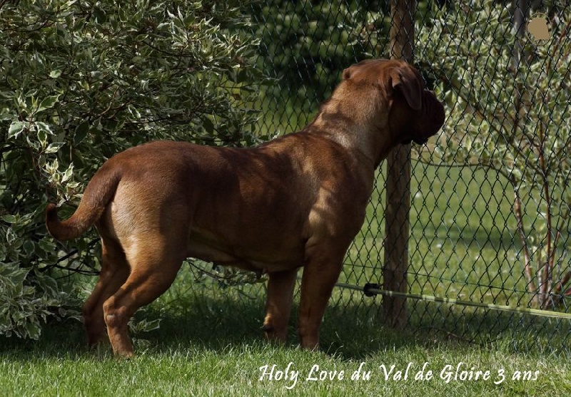 Publication : du val de gloire Auteur : K.Vernanchet