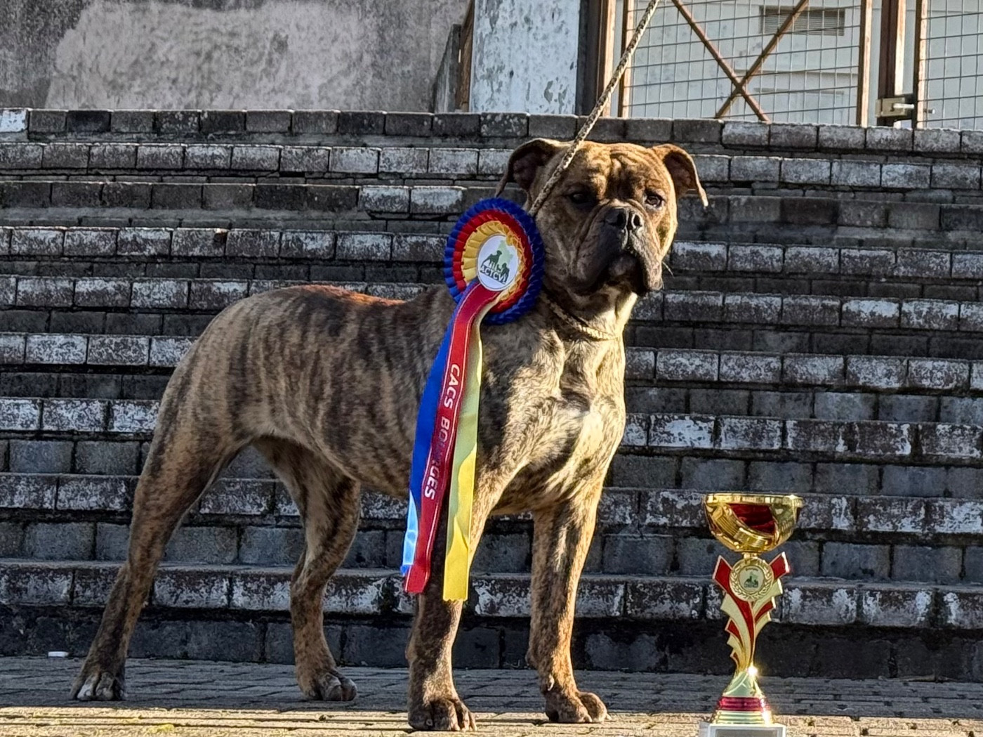Astree Du Royaume De Thessalie