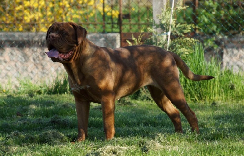 Publication : du val de gloire Auteur : K.Vernanchet