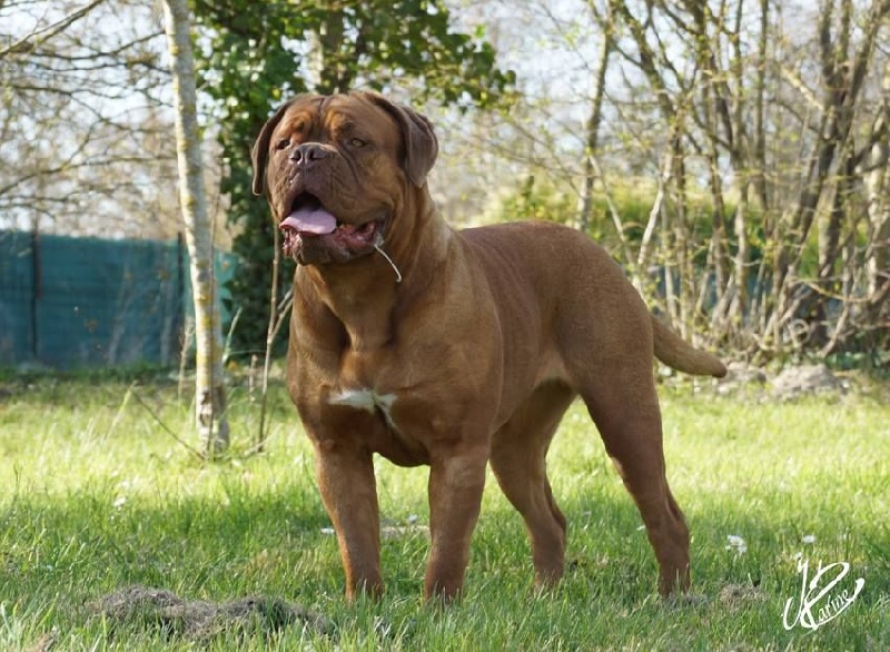 Publication : du val de gloire Auteur : K.Vernanchet