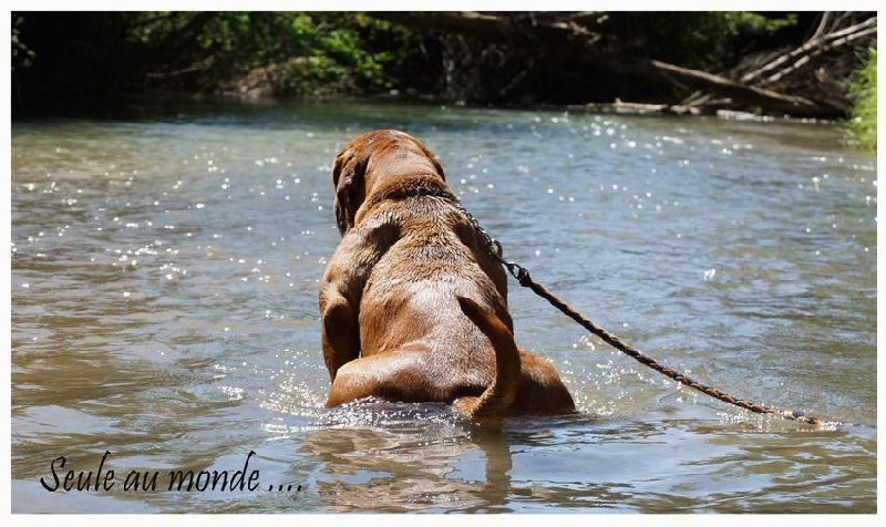 Publication : du val de gloire Auteur : K.Vernanchet