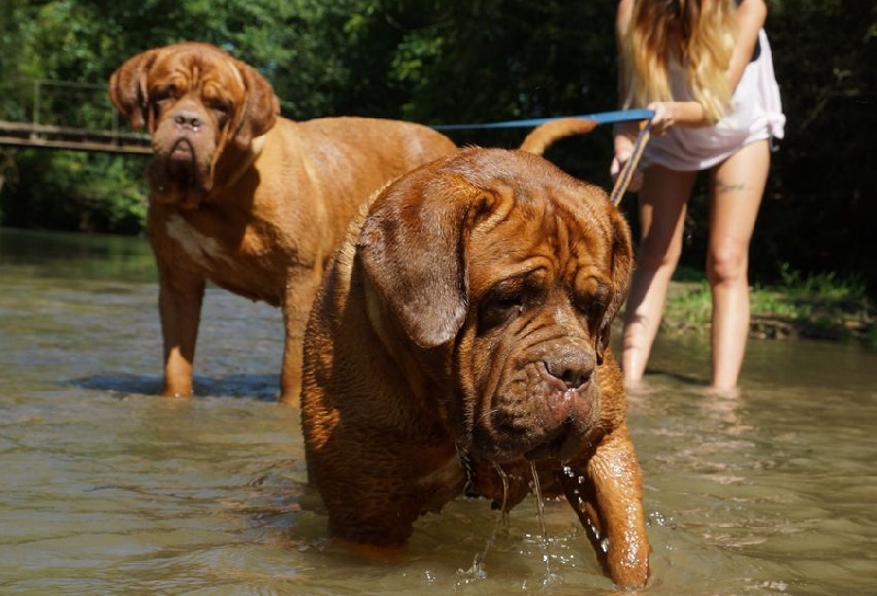 Publication : du val de gloire Auteur : K.Vernanchet