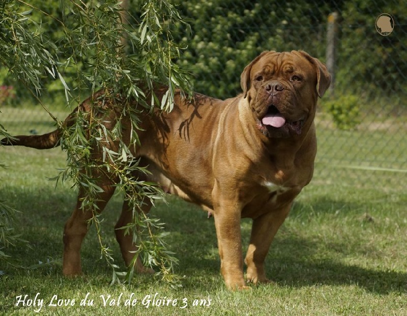 Publication : du val de gloire Auteur : K.Vernanchet