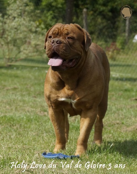 Publication : du val de gloire Auteur : K.Vernanchet