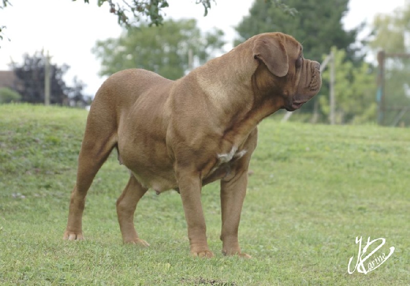 Publication : du val de gloire Auteur : K.Vernanchet