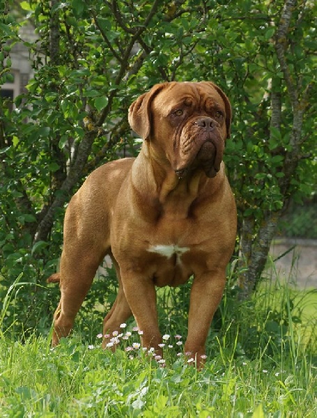 Publication : du val de gloire Auteur : K.Vernanchet