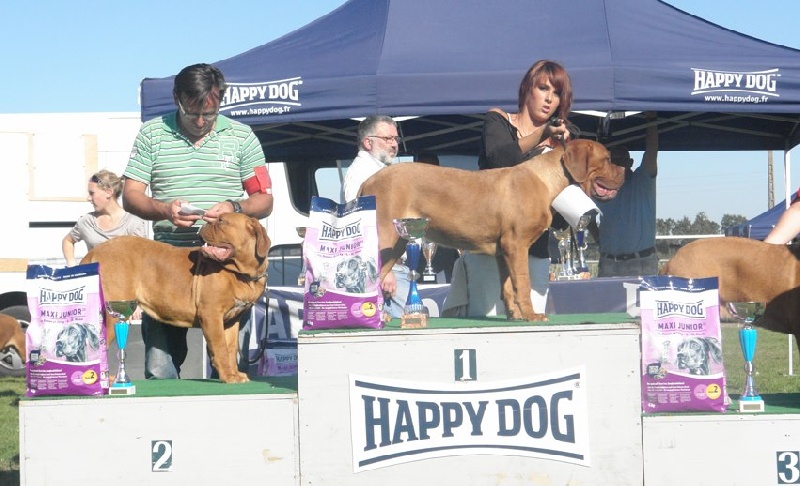 Publication : du val de gloire Auteur : K.Vernanchet