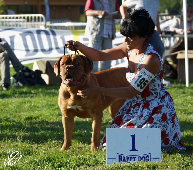 Publication : du val de gloire Auteur : K.Vernanchet