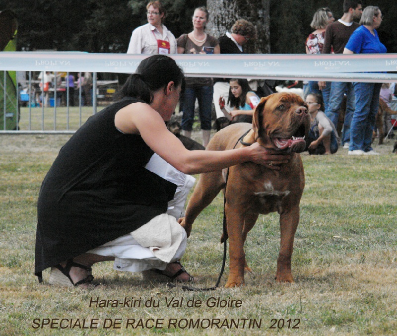 Hara-kiri du val de gloire - Très prometteur