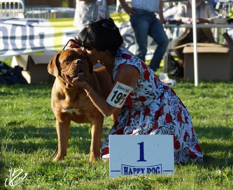 Holy love du val de gloire - Meilleur jeune de la NE 2013